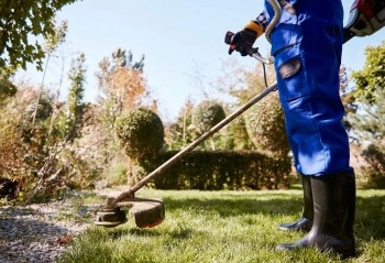 Serviços de Jardinagem em Condomínios em Guarujá - SP